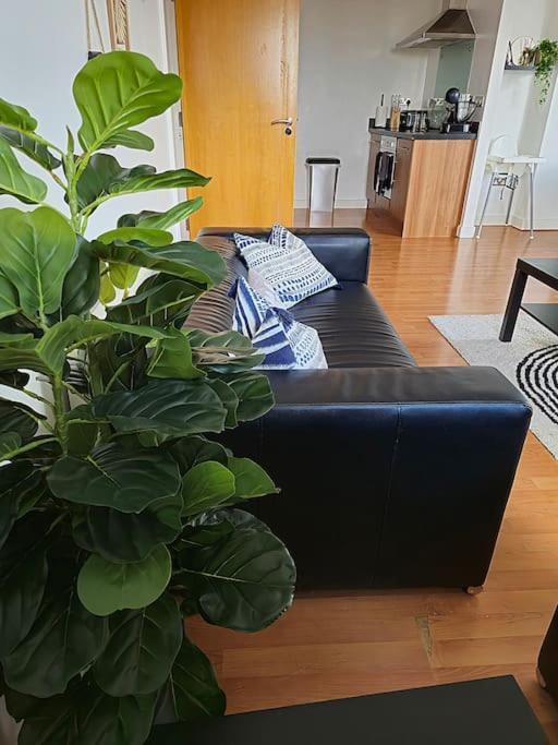 Centre 2 Bed & 2 Bath With Free Secured Parking Near And Hospital Apartamento *